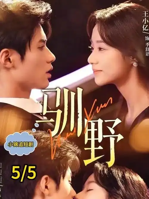 电视剧长尾播放观察资讯